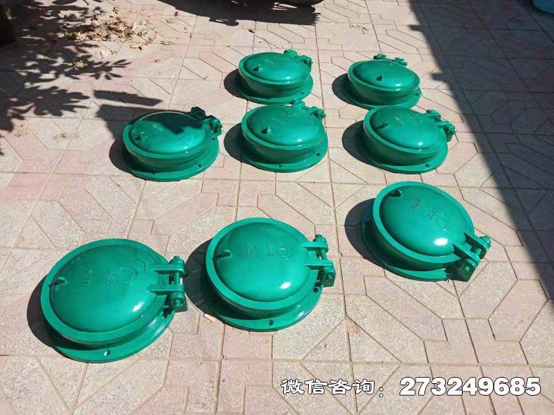 岱岳玻璃钢止水拍门