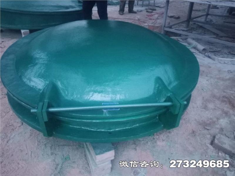 南岸轻质玻璃钢拍门