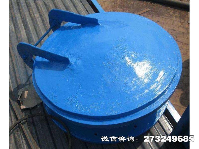 涵江污水管用玻璃钢拍门