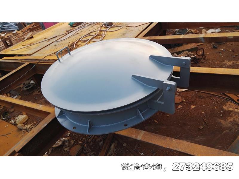 滁州水渠管道钢制拍门