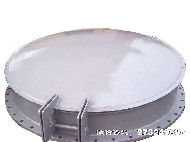 滁州铸铁钢制拍门