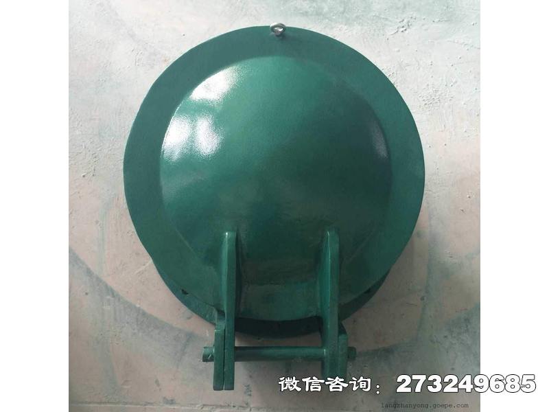 赵县玻璃钢圆形拍门