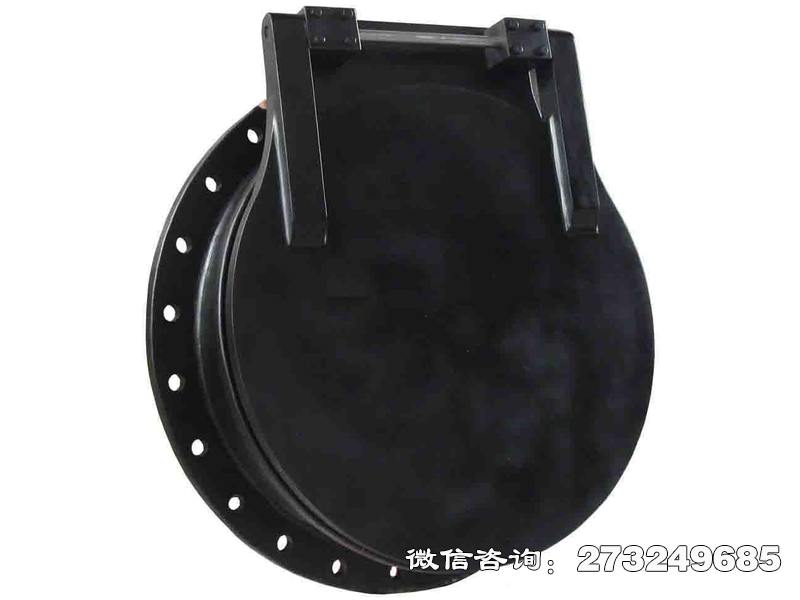 武穴pgz铸铁拍门